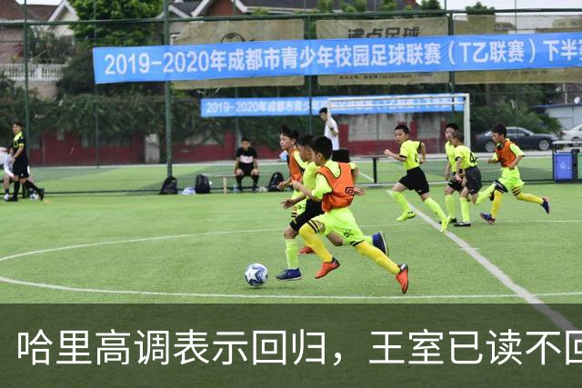 哈里高调表示回归，王室已读不回让他很崩溃，威廉：你不该碰这两个人