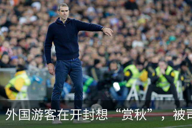 外国游客在开封想“赏秋”，被司机一脚油门拉到商丘