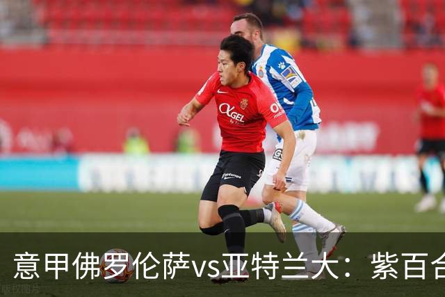 意甲佛罗伦萨vs亚特兰大：紫百合直面真蓝黑竞搏快讯对撞考验防线韧性