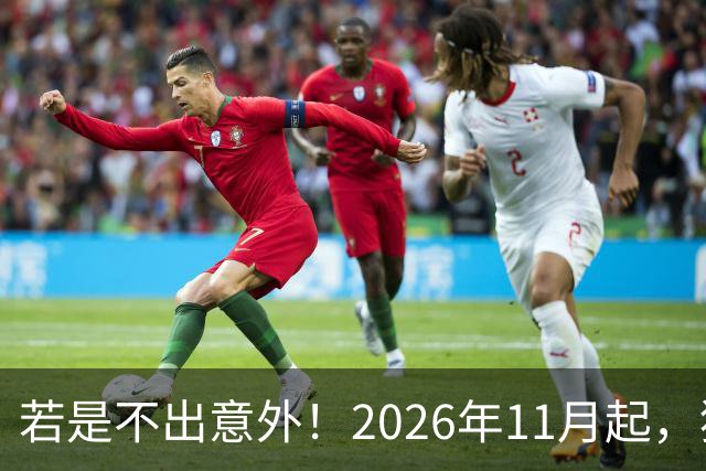 若是不出意外！2026年11月起，猪肉，鸡蛋，蔬菜或迎来“大变局”