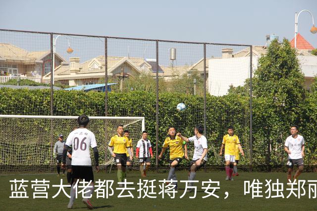 蓝营大佬都去挺蒋万安，唯独郑丽文缺席，她到底在忙什么？