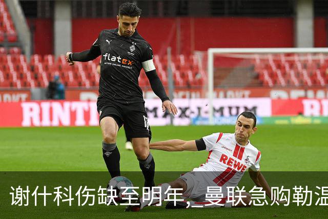 谢什科伤缺至明年, 曼联急购勒温补锋线