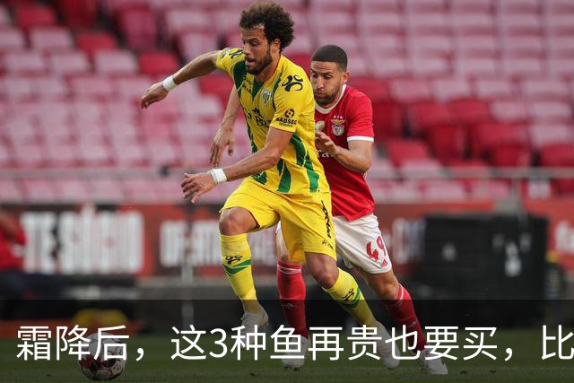 霜降后，这3种鱼再贵也要买，比鲫鱼鲜，比带鱼有营养，要多吃
