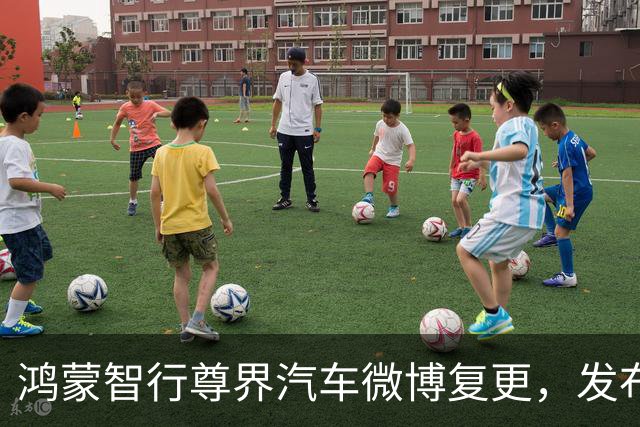 鸿蒙智行尊界汽车微博复更，发布S800典藏大观车型组图